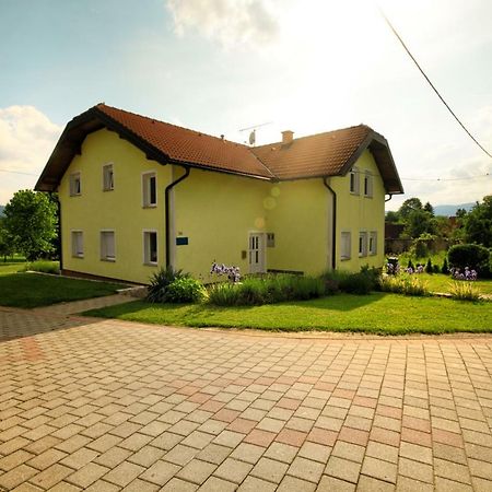 Apartment & Rooms Arija Drežnik Grad Exterior foto